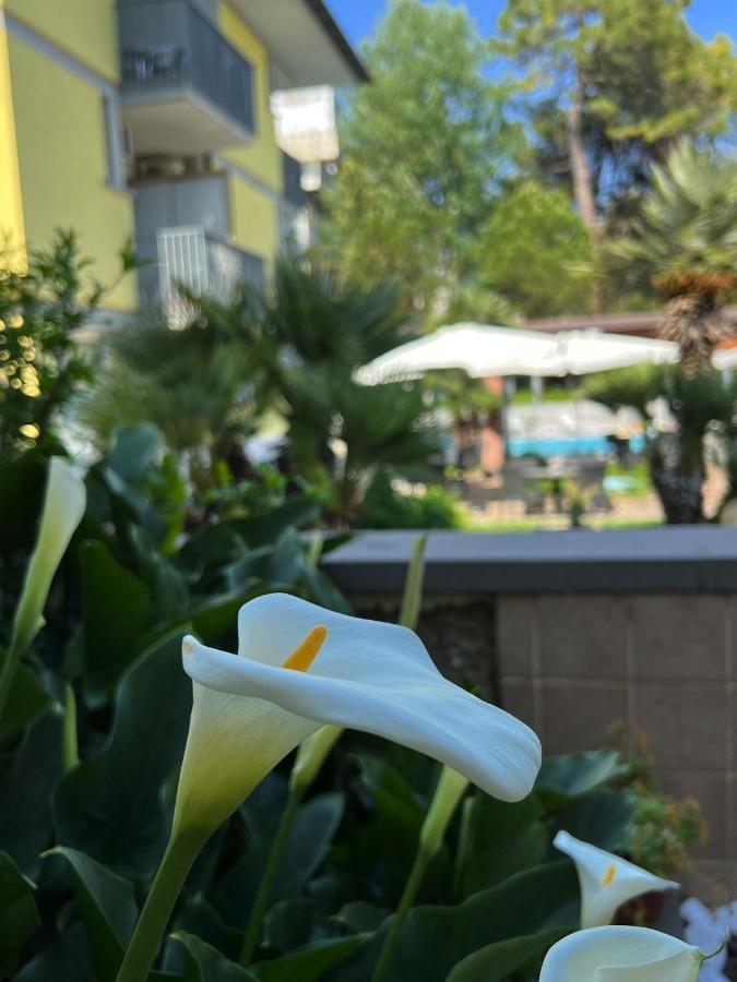 Hotel Ai Pini Grado Exterior photo